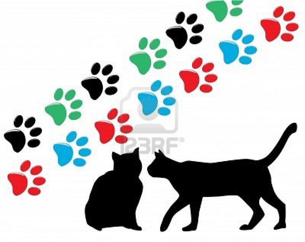 Chat Trouve Mairie De Berry Bouy